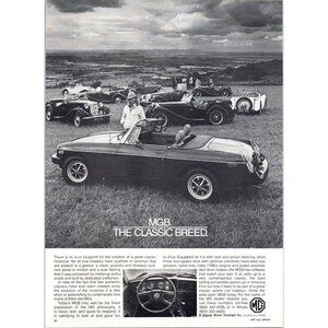 1980 MG MGB Convertible Roadster Vintage Print Ad Models in Field Wall Art